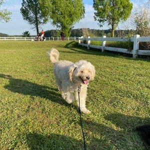 Meet your Posher, Meredith